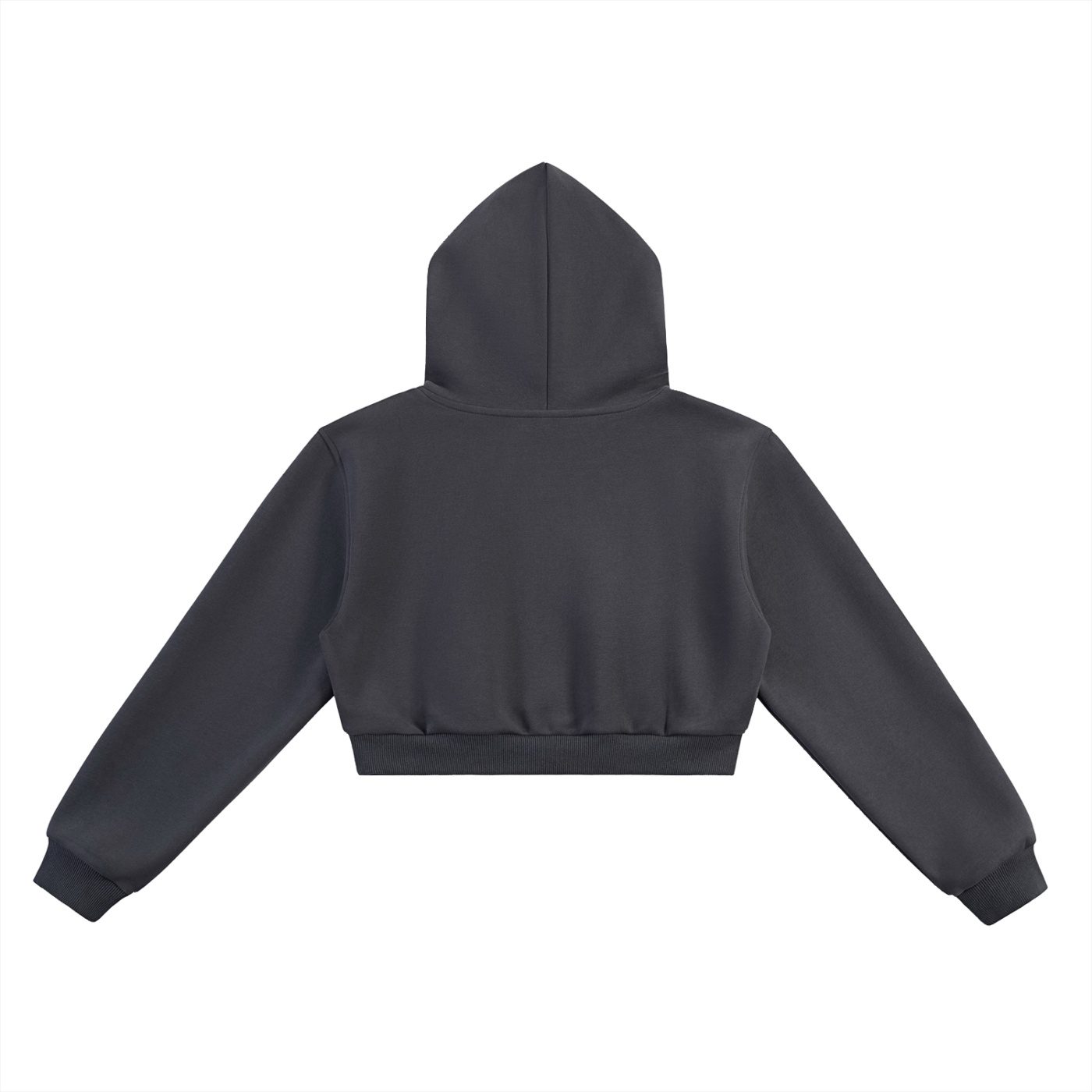 "roar of the d" essential cropped hoodie (black)